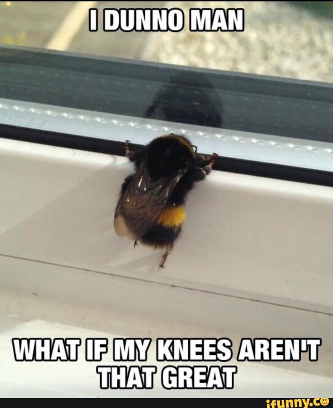 6b2e4a68f6a39c2a2fab8db5052dd3ae72ed272eb3e0bab5b6fe907b99347635_1